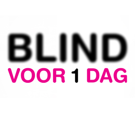 Blind voor 1 dag