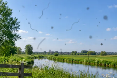 Zwarte stipjes, draadjes of spinnetjes zien