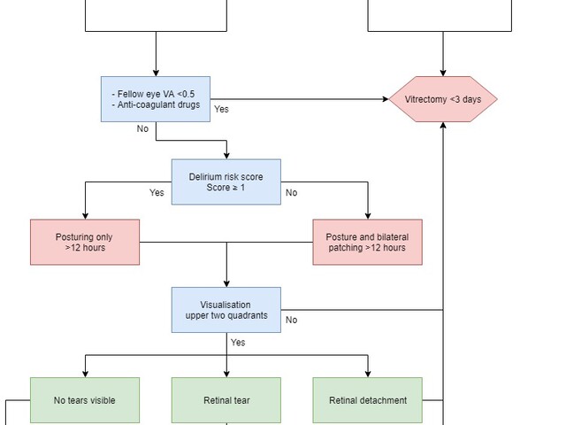 Behandelflowchart Het Oogziekenhuis Rotterdam