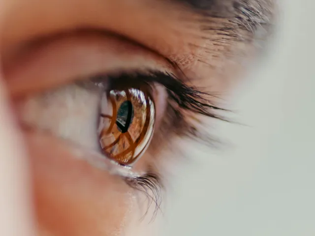 Afbeelding ter decoratie: beeld van één oog met wimpers 