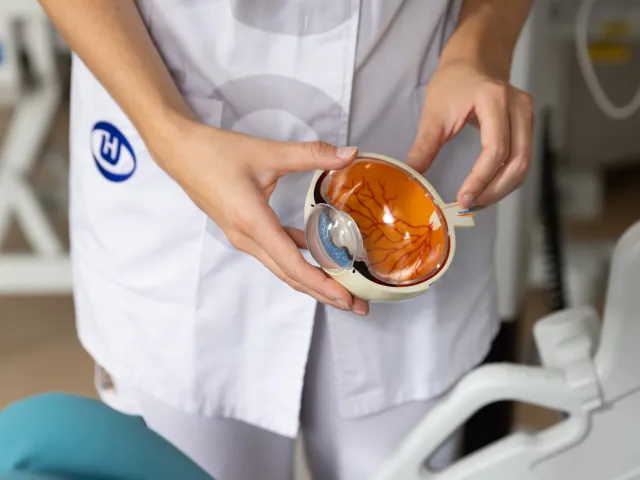 Verpleegkundige houdt doorsnede van een anatomisch oogmodel vast in hand 